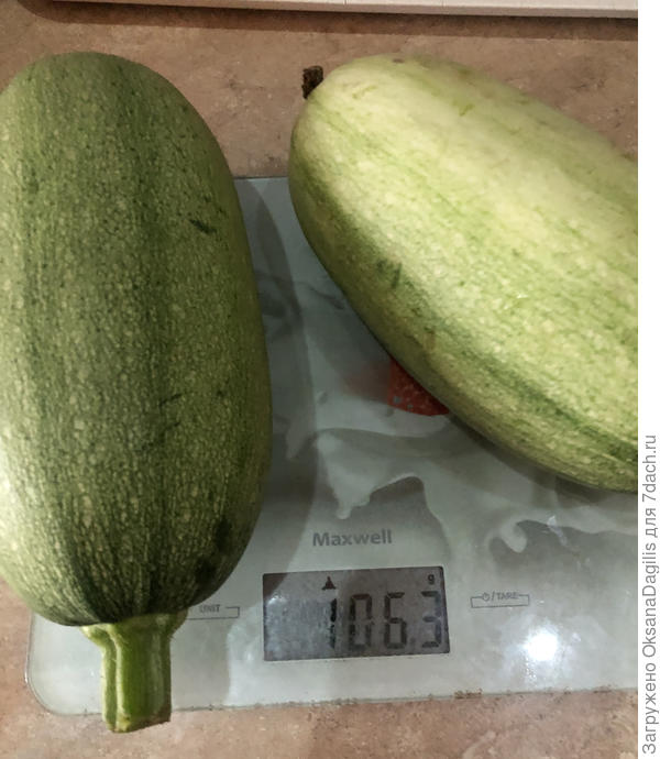 Вот такие "кабанчики"