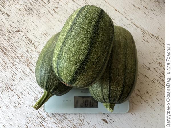 Заключительный сентябрьский урожай