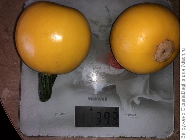 Собираем урожай в июле