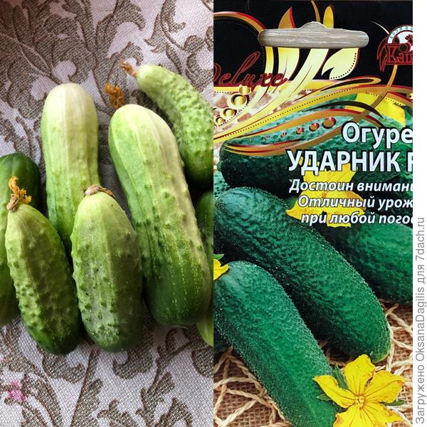 Почуствуйте разницу