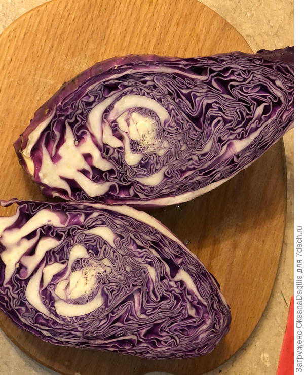 Капуста в разрезе
