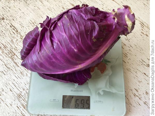Вес одной капустины
