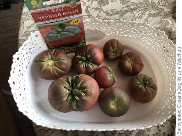Красивые и вкусные томаты Чрный Крым