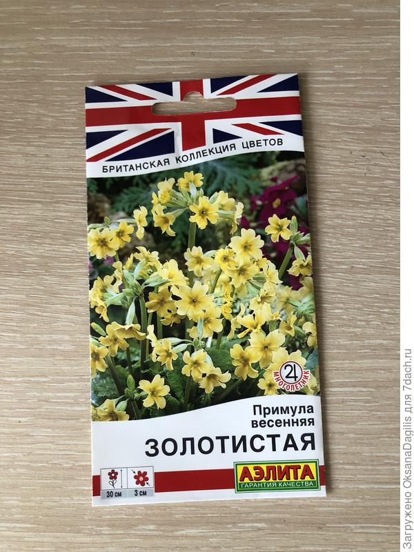 вот такая красотка