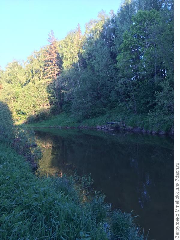 Вот так у нас в 30 метрах от забора. Поэтому я Очень разделяю ваши страхи.