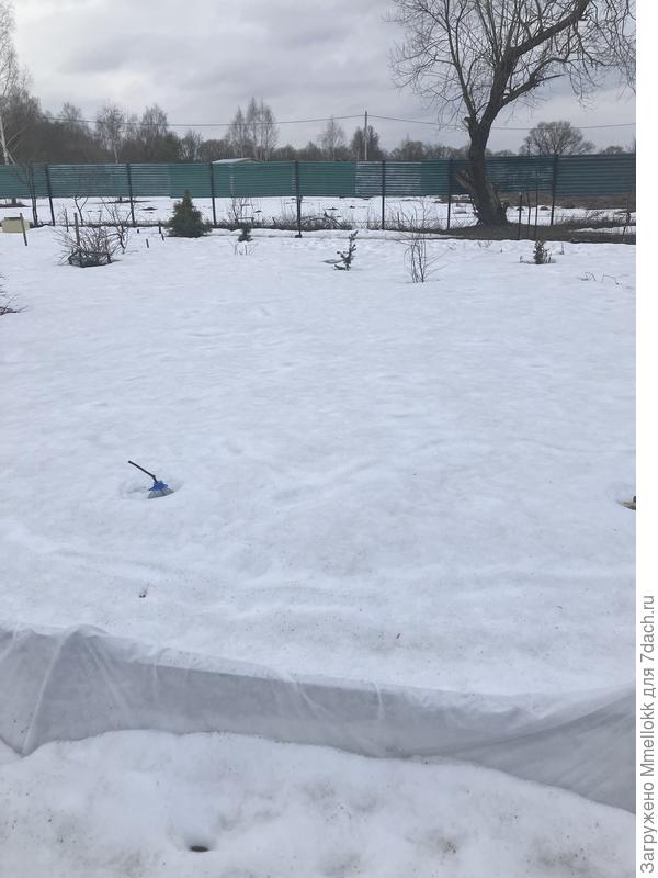 А это у нас на участке. Все три фото на пятачке  в 100 кВ. М. 😀