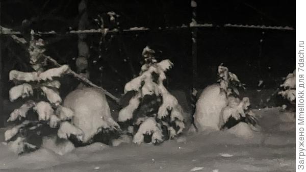 Какой день рождения, такой и букет 💐