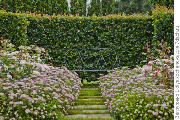 В планах такая живая изгородь
