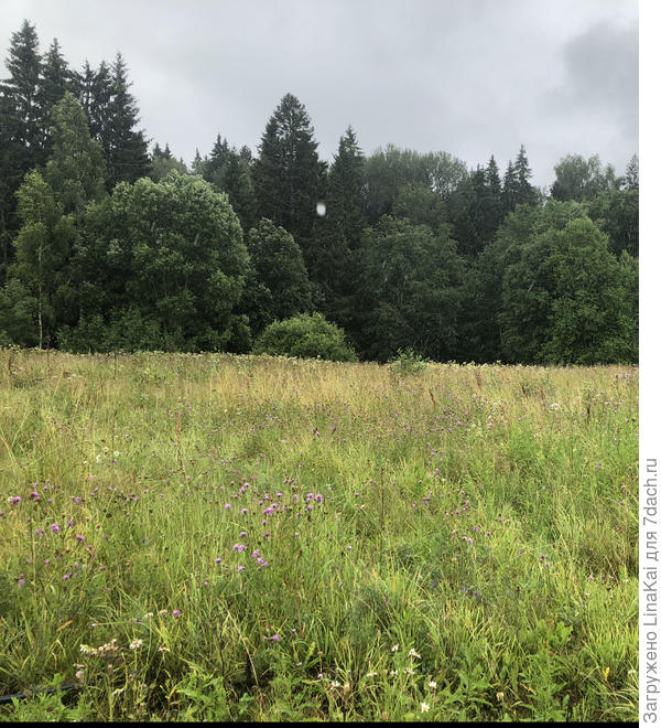 Фото участка