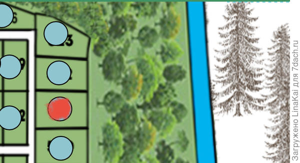 Схема расположения участка