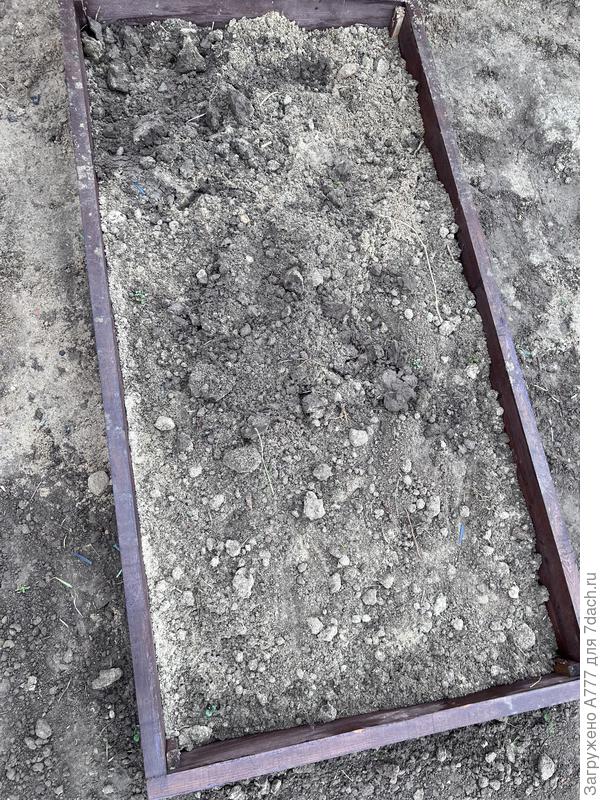 Новая грядка, первый раз в дела огородные вхожу