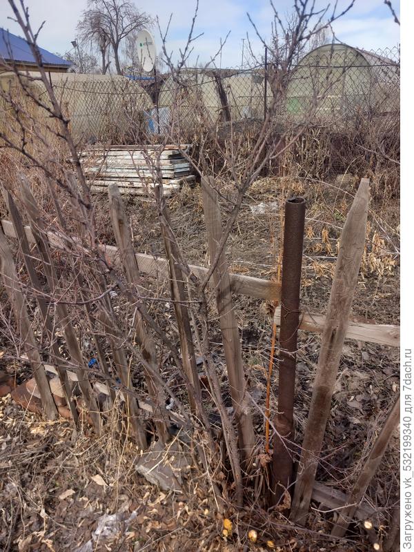 Оставила  3 ветки поменьше на одном кусте,остальное выпилила.Посмотрим что получится)))