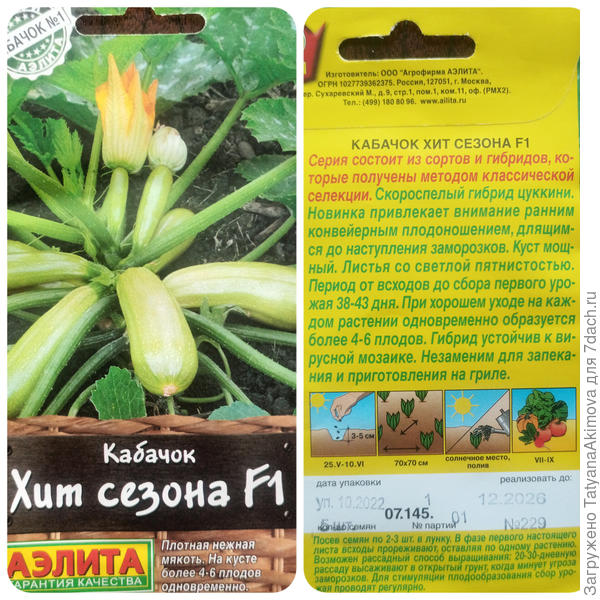 Кабачок Хит сезона F1
