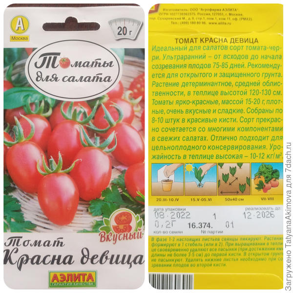 Томат Красна девица