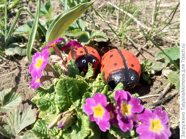 27 апреля, Подмосковье. Фото