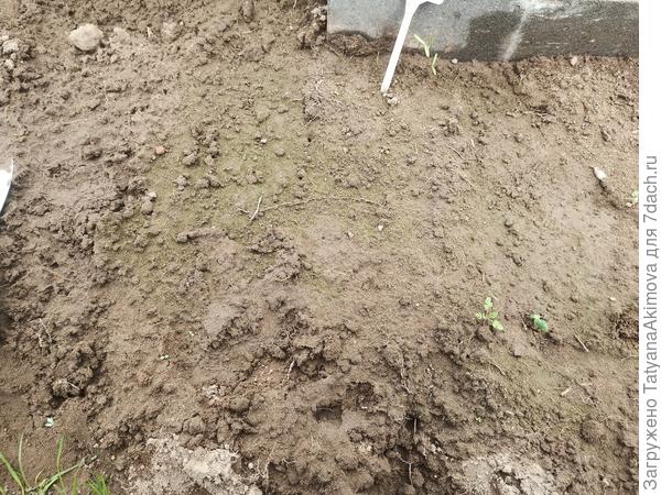 8 мая появился первый Суперхруст