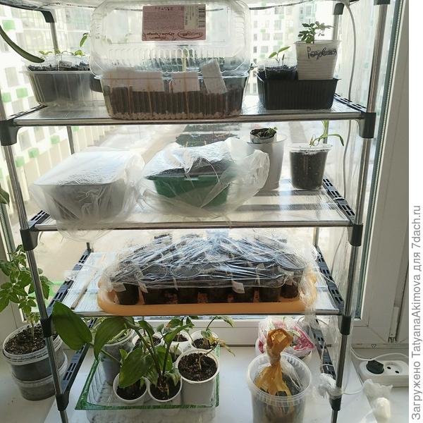 Стеллаж с семенами