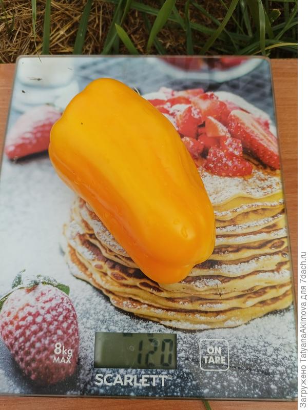 Вес одного перца