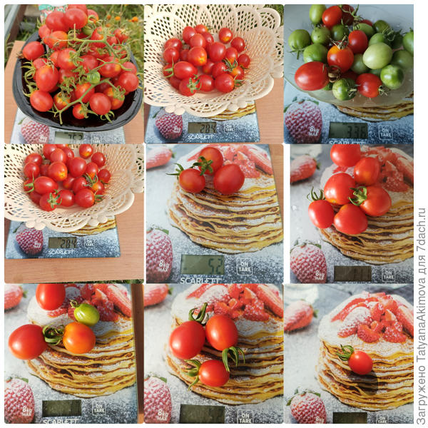 Сбор урожая