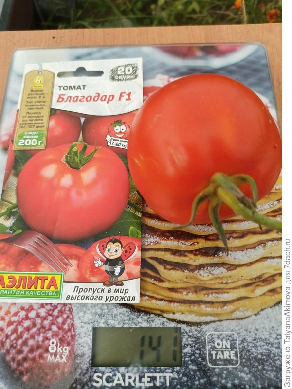 Максимальный вес