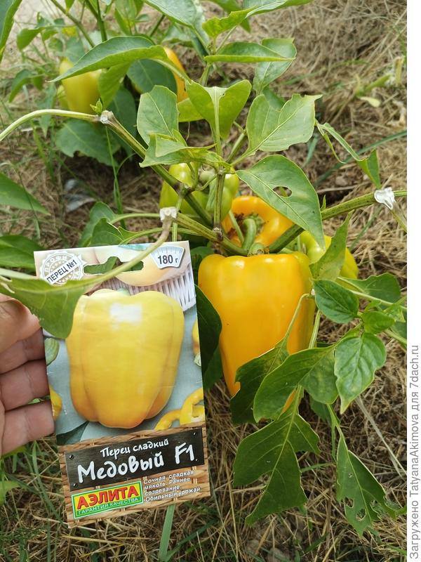 Мне кажется, что у меня по