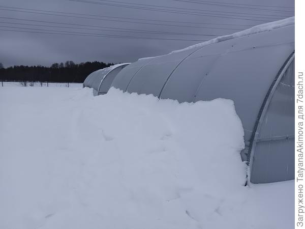 Перед оттепелью ездила чистила теплицы. Снега было сбоку примерно метр. Расчистили две теплицы с одной стороны, и лопата сломалась.