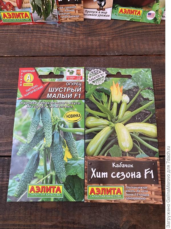 Кабачок и огурчик