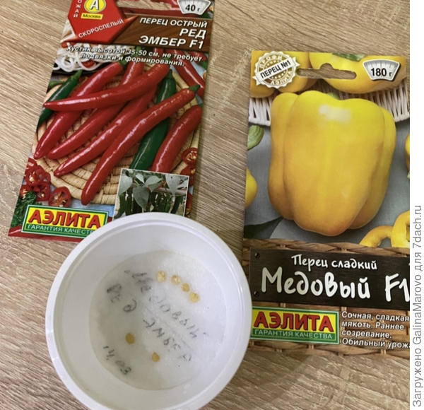 Замачивание семян в хлорелле