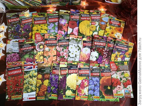 Цветочное великолепие