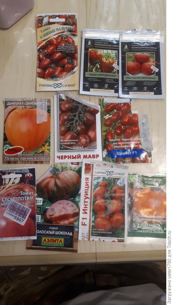 Мои  пакетики на 2024. Снизу которые уже сажал.