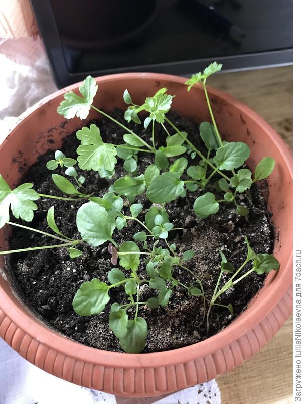 И кто это тут у нас?