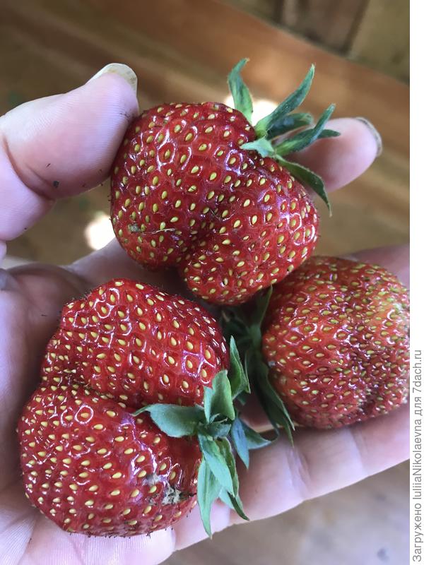 21 июня 2021 года