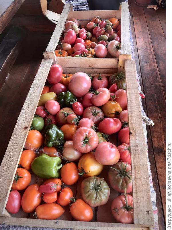 8 августа 2021 года