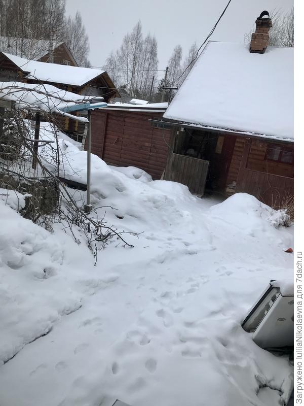 Вид во двор из окна кухни. 1 апреля 2023