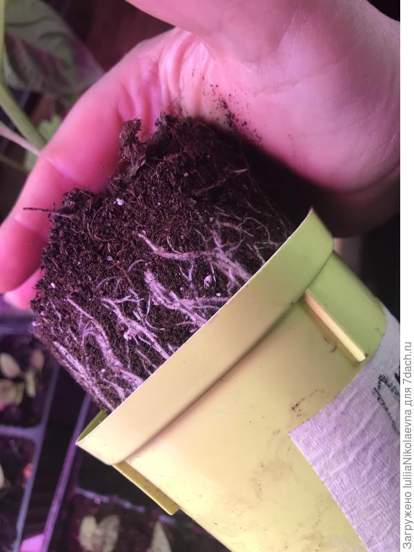 Получается, что пора?