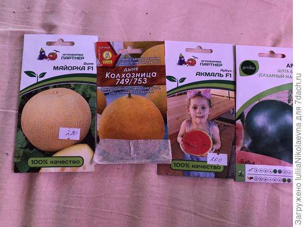 У меня муж каждый год семена покупает Я каждый год сажаю Урожая нет, а дыни частенько не доживают до совершеннолетия