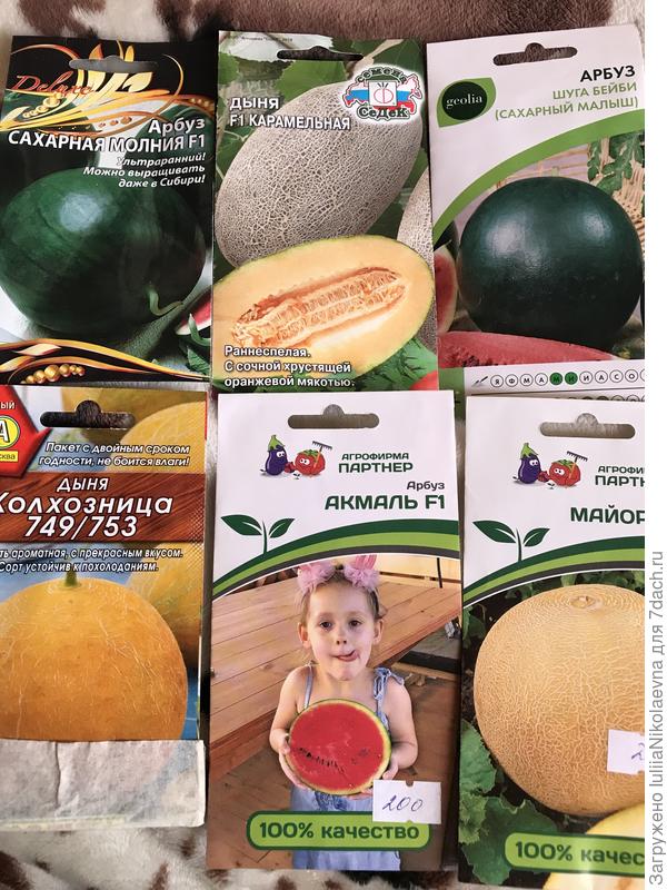 Будущая  бахча. Вид спереди