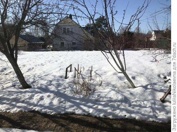 Во у меня поле какое! Картошку с капустой нафиг! Буду бахчу делать!