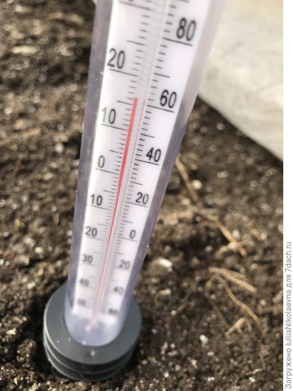 А это температура грунта на глубине пяти сантиметров.