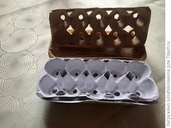 Из двух лоточков получилось 20 ячеек для морковок
