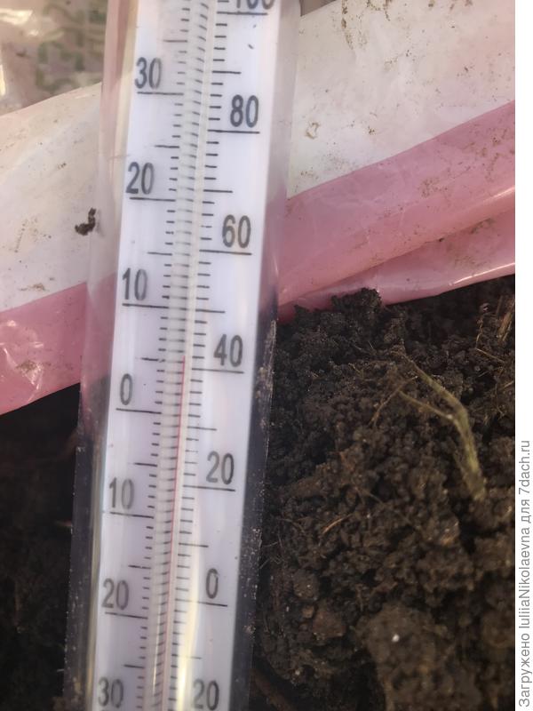 Температура грунта на глубине десяти сантиметров плюс шесть. Не знаю какую температуру бы хотела морковь, ну как уж получилось