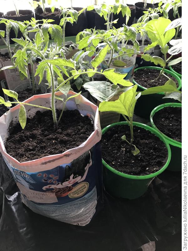 Из под кошкиного корма тоже использовала мешок.. Литра четыре пакет. Ну, а почему бы и нет? 🤪