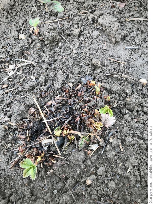 А есть такие