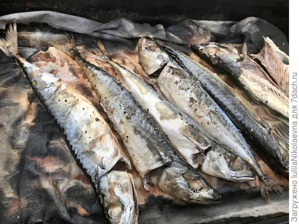 Что-то пошло не так