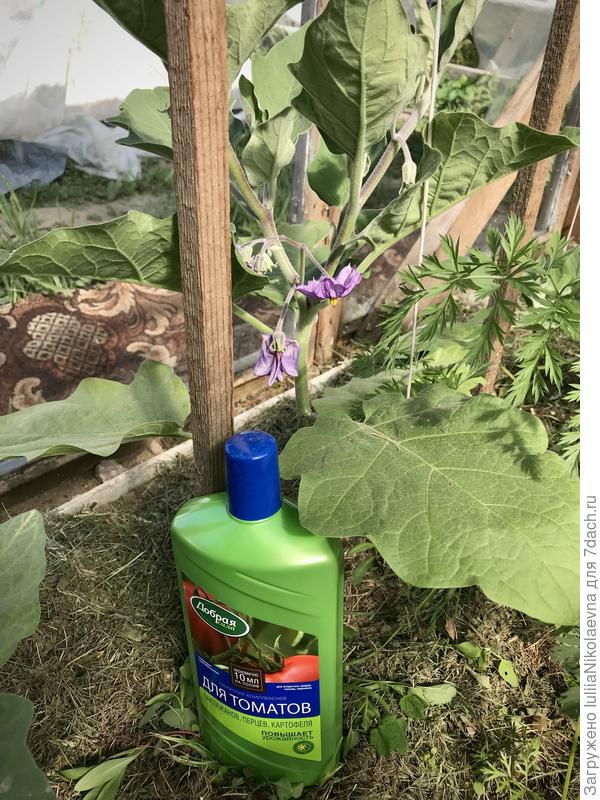 Вот такой флакон