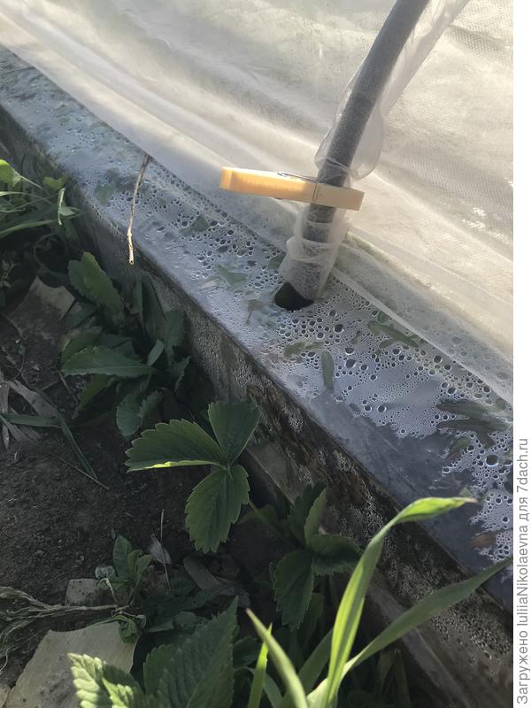 Вот так у меня выглядит край грядки снаружи