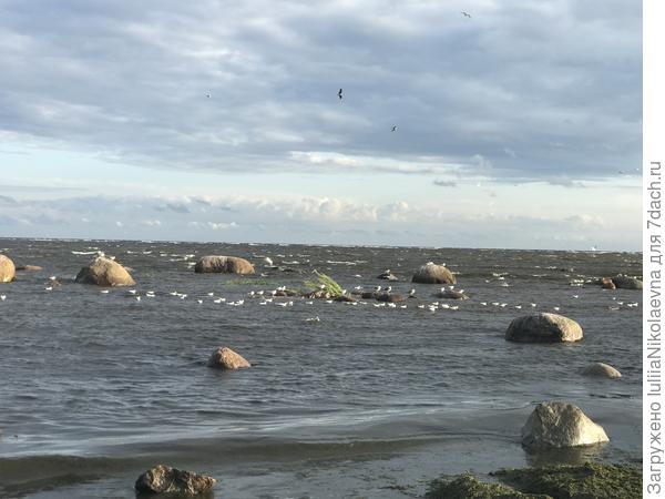 1 июля. 20:05 Ветер тучи разогнал