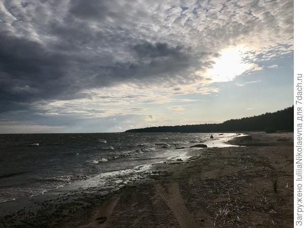 1 июля. 19:54 очень сильный ветер