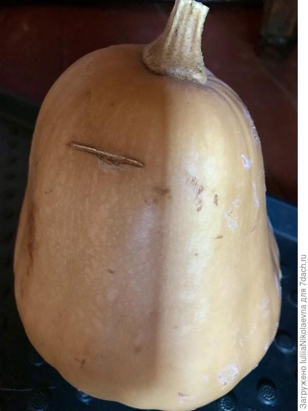 Тыковка, которую под столом все пинают ногами🤪