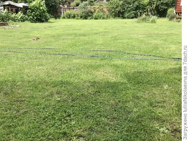 Косим примерно раз в 10-14 дней.